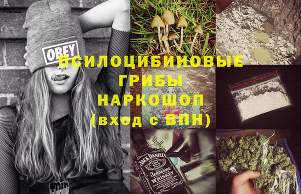гидра Алзамай