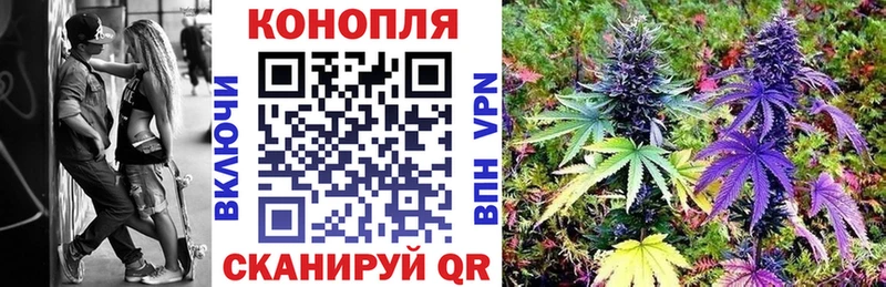 Канабис ГИДРОПОН  Мостовской 